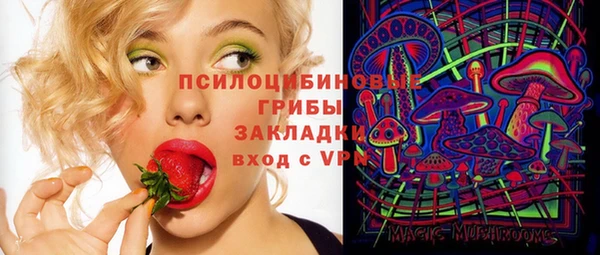 mdma Горнозаводск