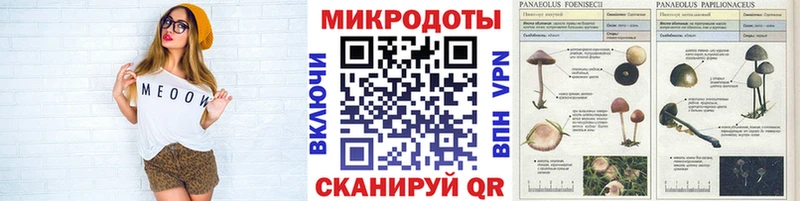 Галлюциногенные грибы мухоморы  Железногорск 